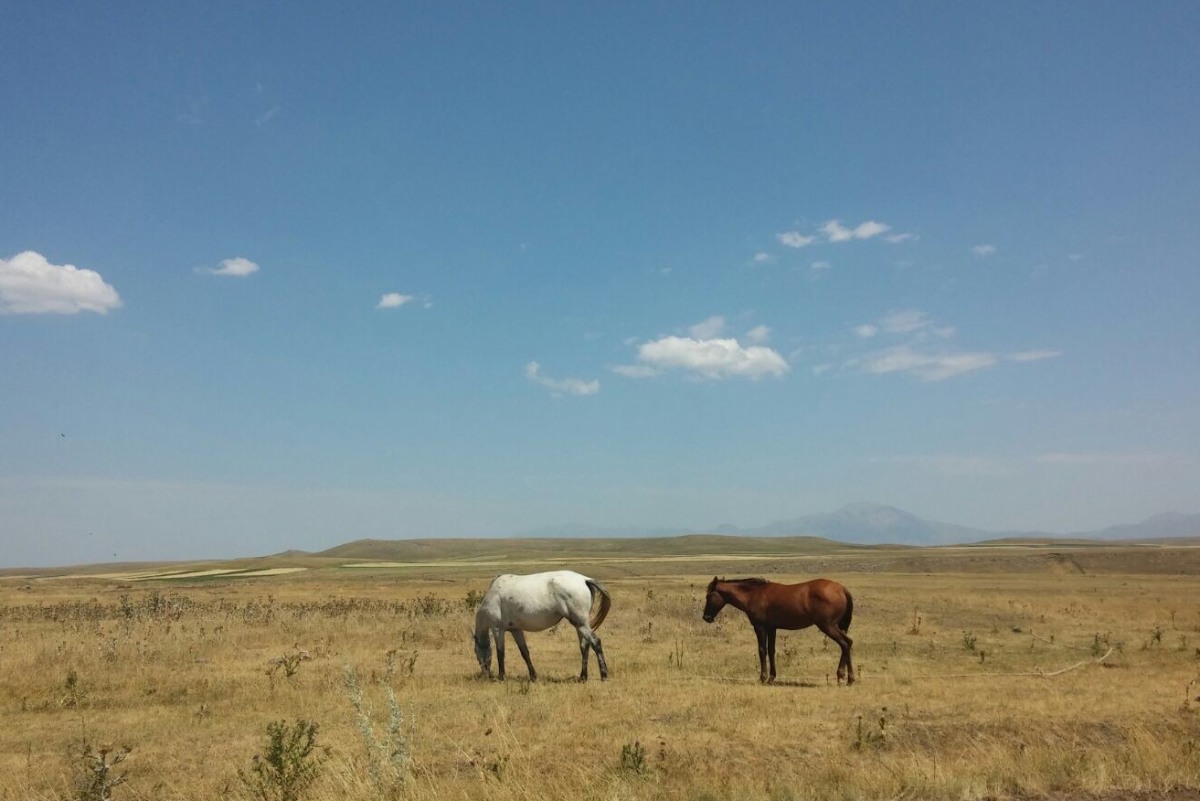 Arménsko a kone